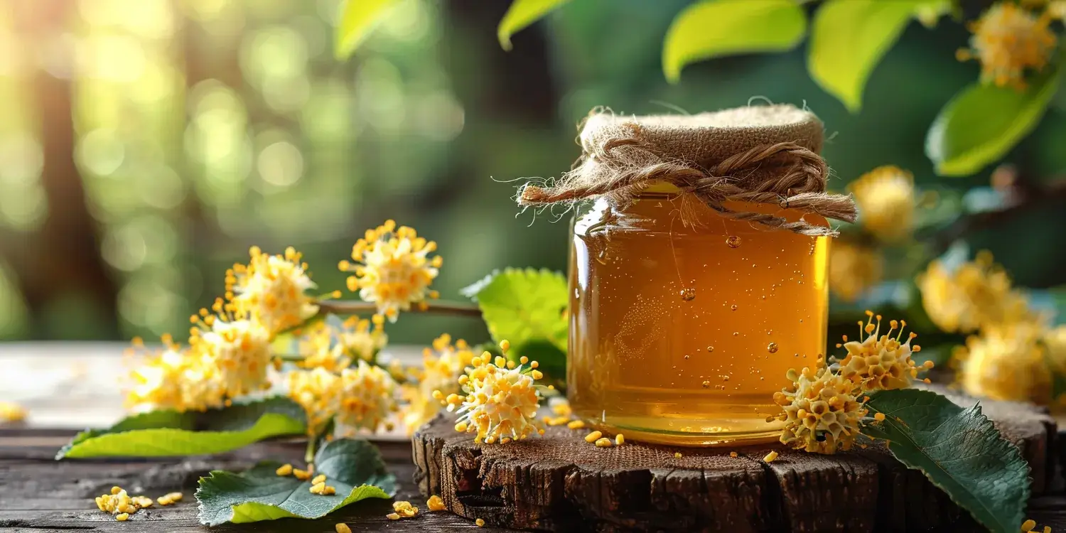 Który miód lepszy akacjowy czy lipowy?