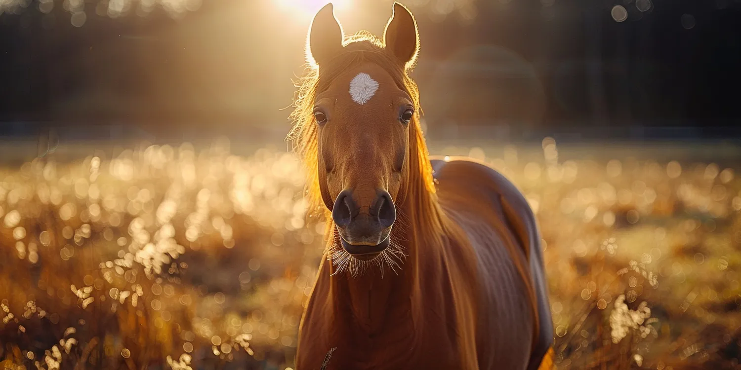 Trawa z rolki - jak przygotować podłoże?