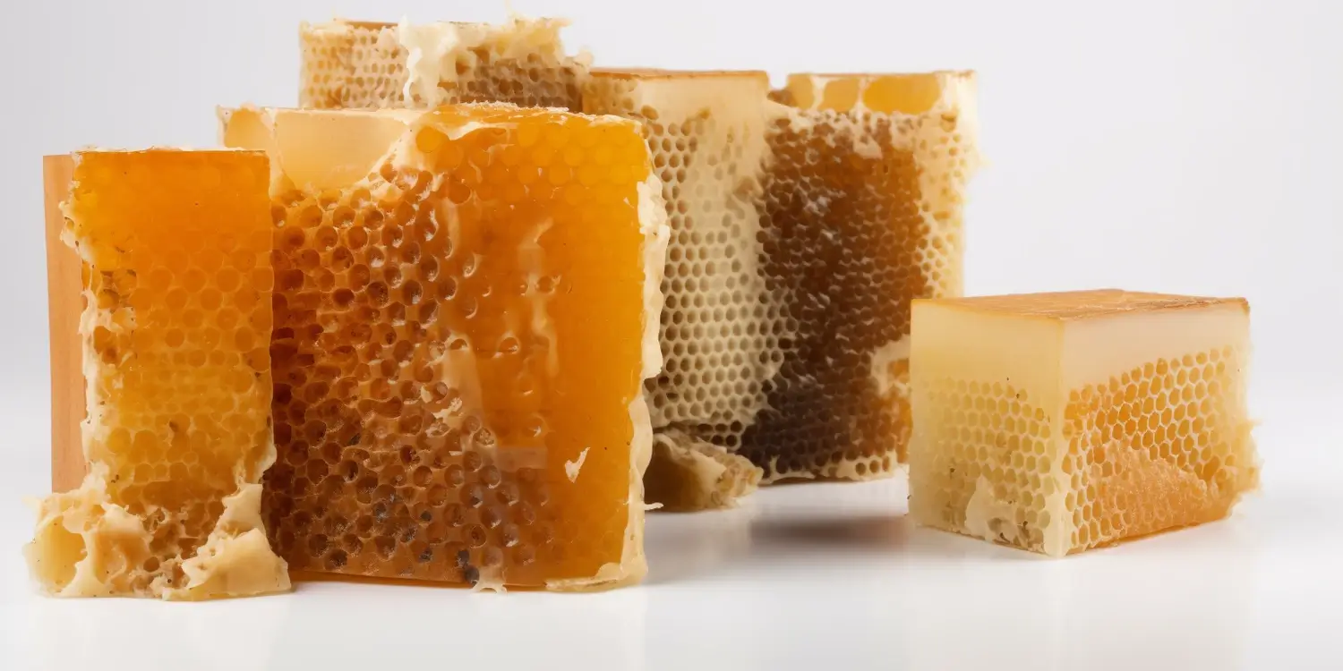 Gdzie kupić matkę pszczelą?