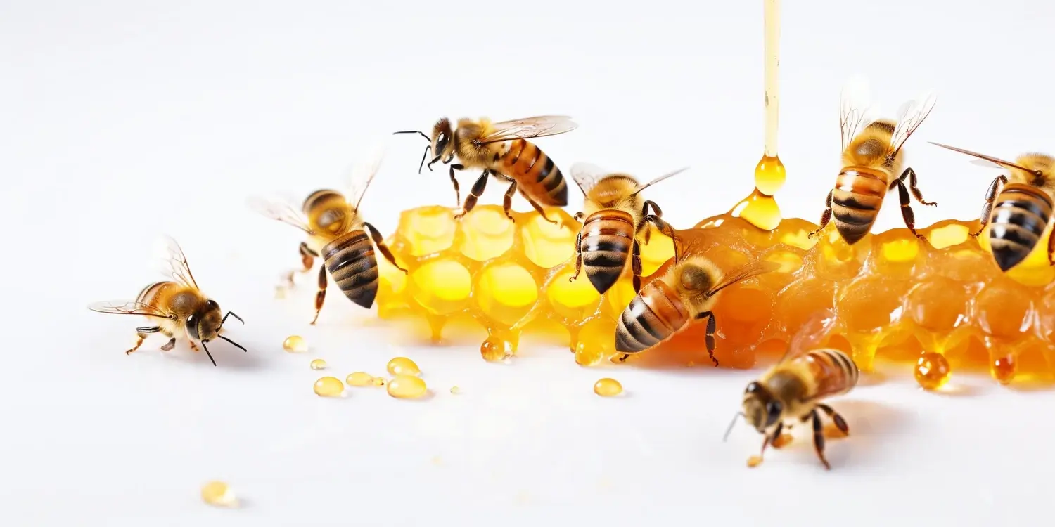 Miód lipowy jakie ma właściwości?