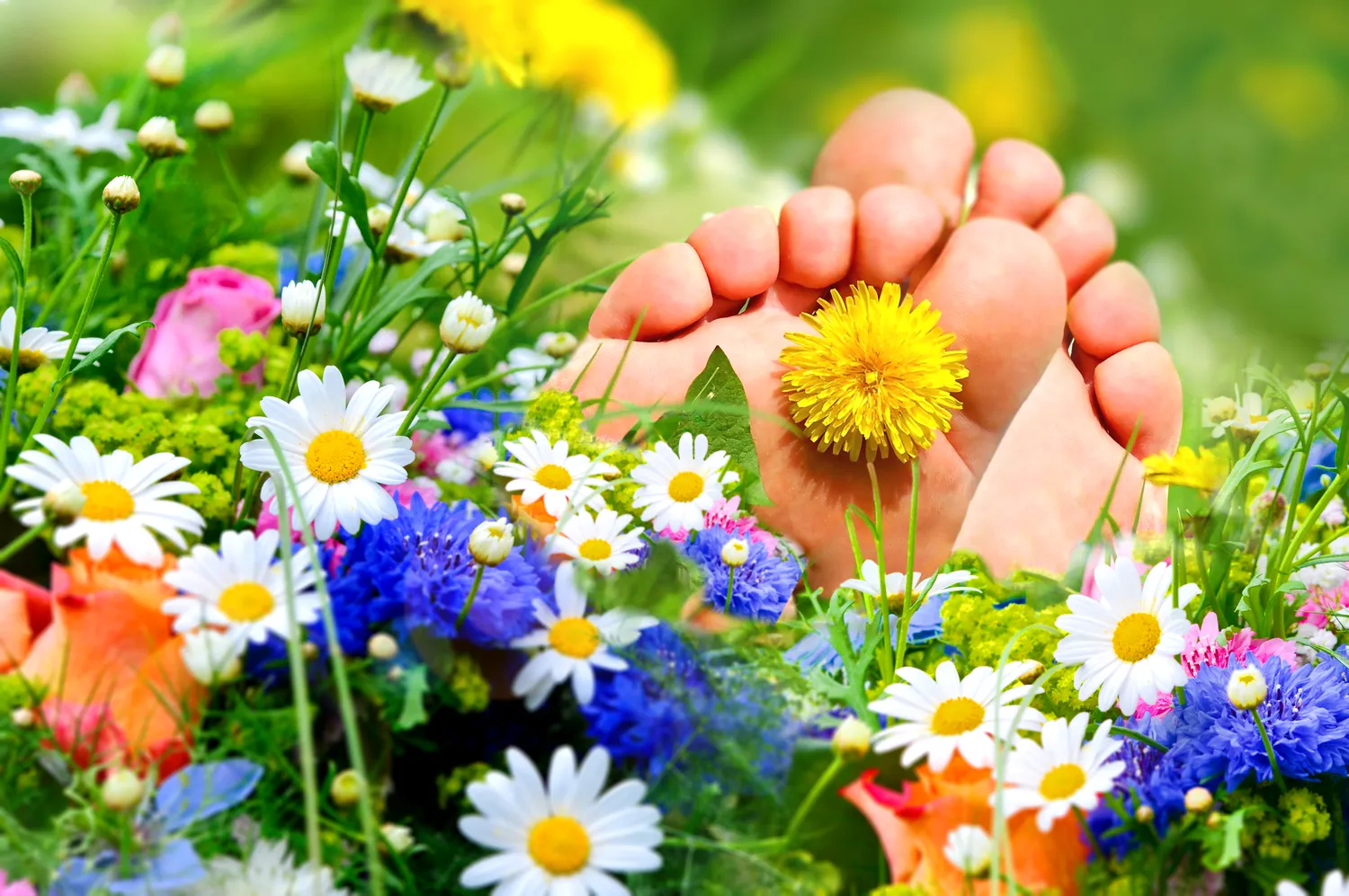 Podologia - medycyna czy kosmetyka?