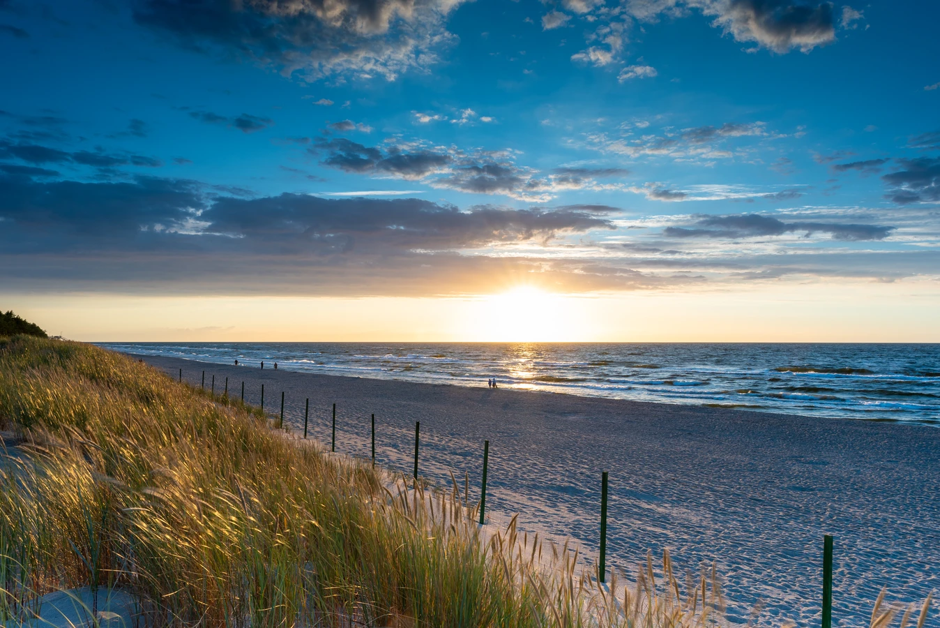 Ile czasu ukorzenia sie trawa z rolki?